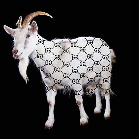 gucci gucci goat animation